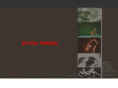 britta-pudelko.com