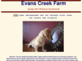 evanscreekdoxies.com