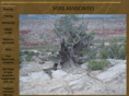 voss-associates.com