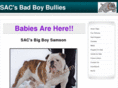 badboybullies.com