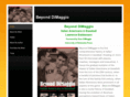 beyonddimaggio.com