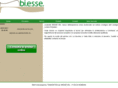 biesse-srl.com