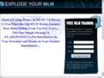 finallymlmsuccess.com