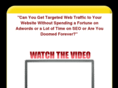 targetedwebtrafficforyou.com