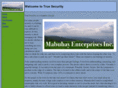 truesecurity.us