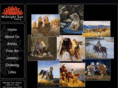 bigforkartgallery.com