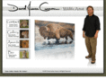davidjamescannon.com
