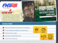 fnbautosave.com