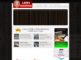 lionroofing.com