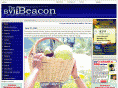 bvibeacon.com