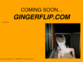gingerflip.com