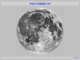 beluno.net