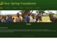 newspringfoundation.com