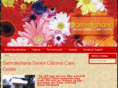 nimadhi.com