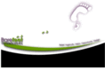 thebarefootweb.com
