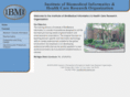 ibminformatics.net