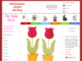 knickknackhaven.com