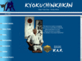 kyokushinkarate.co.za