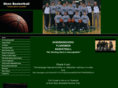 shenbasketball.com