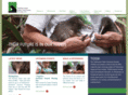 tossi.org.nz