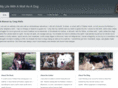 mywolfasadog.com