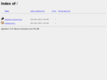 binanic.com