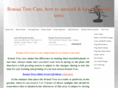bonsai2u.com