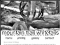 mountaintrailwhitetails.com