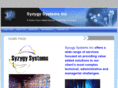 syzygysystemsinc.com