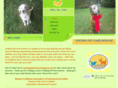 visitingpetcareservice.com