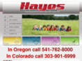 hayesinsgroup.com