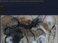 mardisart.com