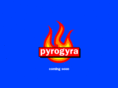 pyrogyra.com