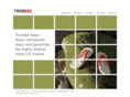 trendbe.com