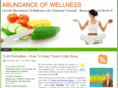 abundanceofwellness.com