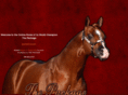 aqhathepackage.com