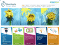 mountanvilleprimaryschool.com