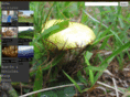 mspo.com