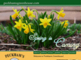peckhamsgreenhouse.com