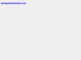 springvillenetworks.com