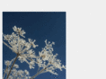 winterweeds.com