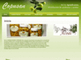 copusan.com