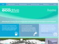 ecodrivesystems.com