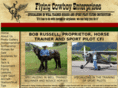 flyingcowboyenterprises.com