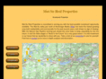 matsurealproperties.com