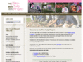 pinktulipproject.com