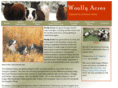 woollyacres.com