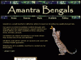 amantrabengals.com