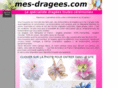 mes-dragees.com