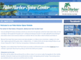 palmharborspine.com